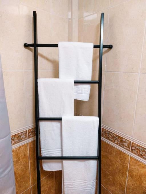 Acogedor Apartamento Besos De Elah San Bartolomé 外观 照片